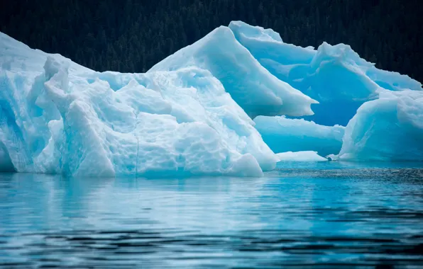 Picture ice, sea, nature, ice