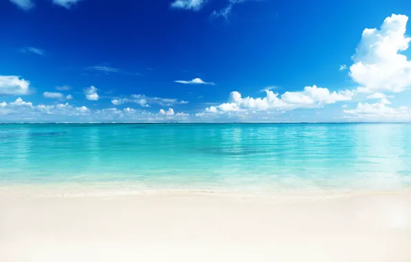 Sand, beach, water, nature, the ocean, shore