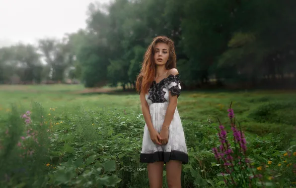 Picture look, girl, nature, dress, Alexander Drobkov-Light, Sue Tikhonova