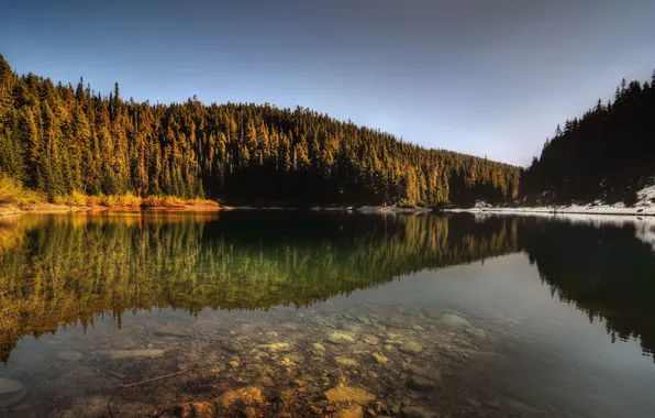Forest, water, snow, trees, nature, lake, reflection, hills