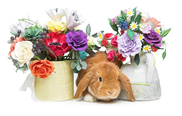 Picture flowers, basket, rabbit, Easter, happy, rabbit, flowers, spring