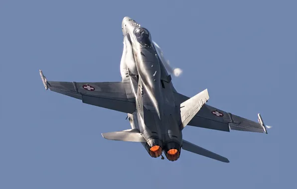 Picture flight, fighter, multipurpose, Hornet, FA-18C