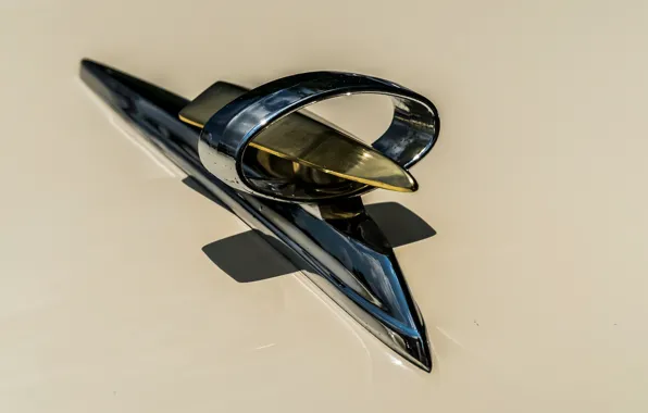 Picture macro, emblem, 1959, Ford Fairlane