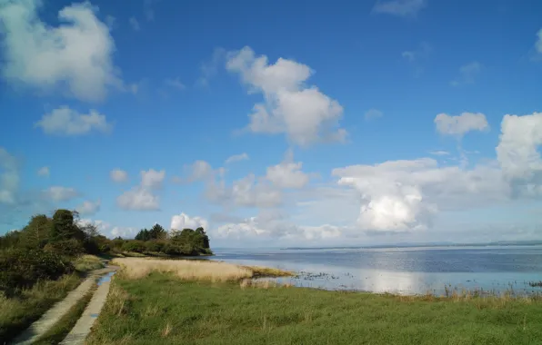 Picture summer, clouds, lake, trail, summer, Nature, clouds, lake