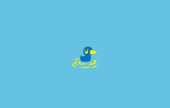 Picture water, bird, duck, duck