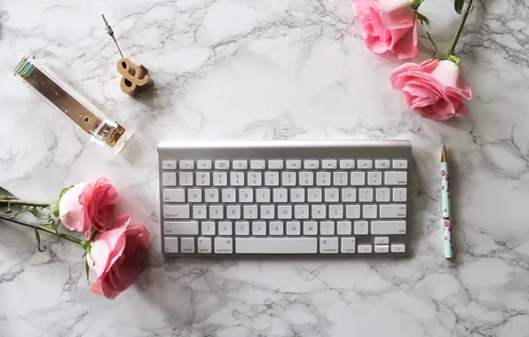 Roses, handle, pink, flowers, roses, keyboard, marble