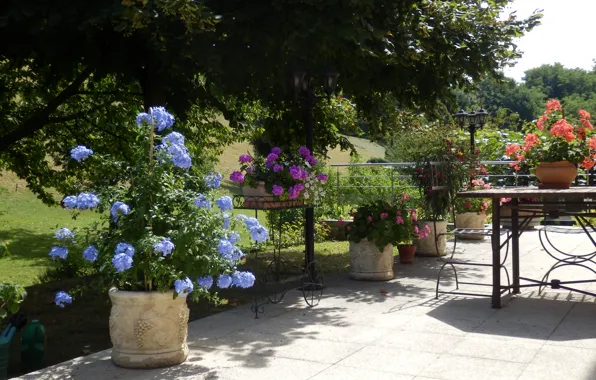 Flowers, garden, yard, the scenery, table, terrace, Chambery cottage