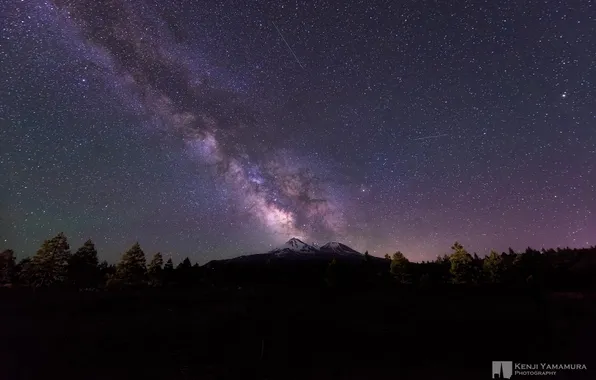 Picture forest, the sky, stars, The milky way, meteors, photographer, Kenji Yamamura