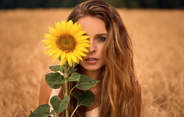 Look, hair, Girl, sunflower, Isabella, Martin Kühn