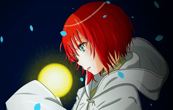 Girl, anime, art, sphere, Mahou Tsukai no Yome, Bride of the sorcerer, Hatori Chise