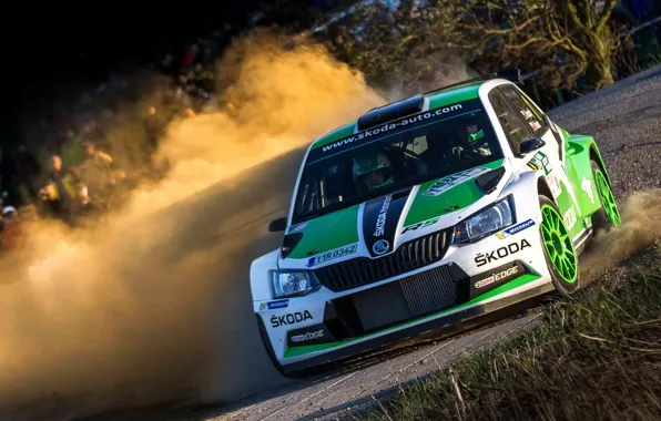 Picture Dust, Turn, Rally, Rally, Skoda, Fabia, WRC2