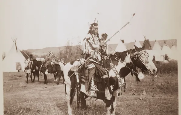 Picture horse, warrior, chief, native american, first people, proud chief