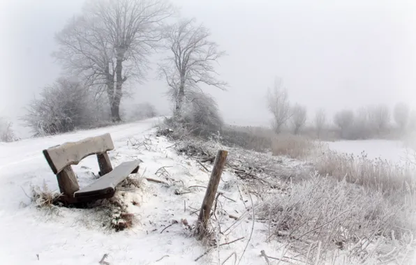 Picture winter, snow, fog, bench