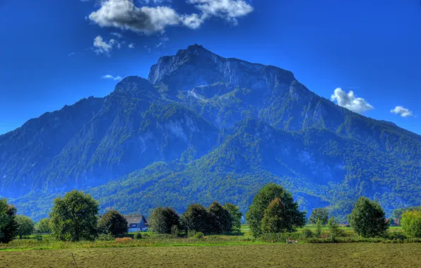Field, the sky, trees, mountains, blue, Austria, Anif