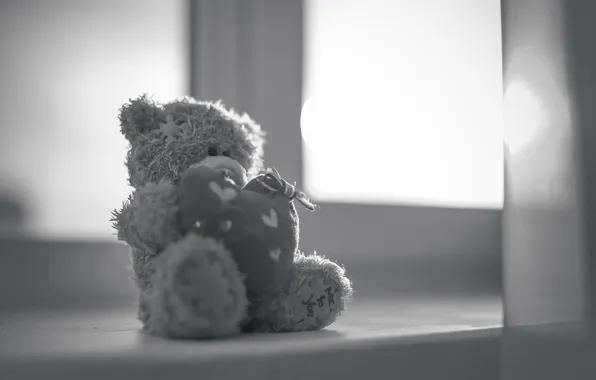 Picture toy, bear, teddy, Teddy