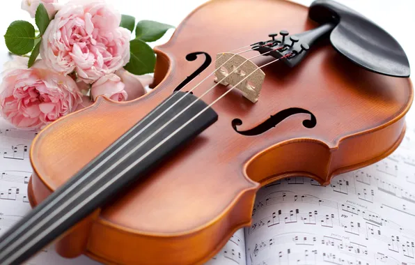 Flowers, notes, violin, roses, musical instrument