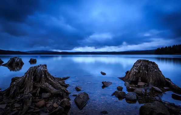 Nature, lake, twilight, Oregon, Timothy Lake