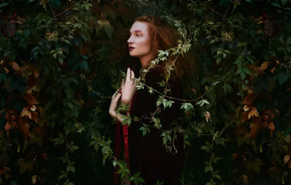 Leaves, girl, makeup, profile, Bella Kotak