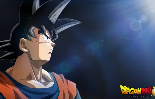 Game, anime, hero, asian, martial artist, manga, japanese, Son Goku