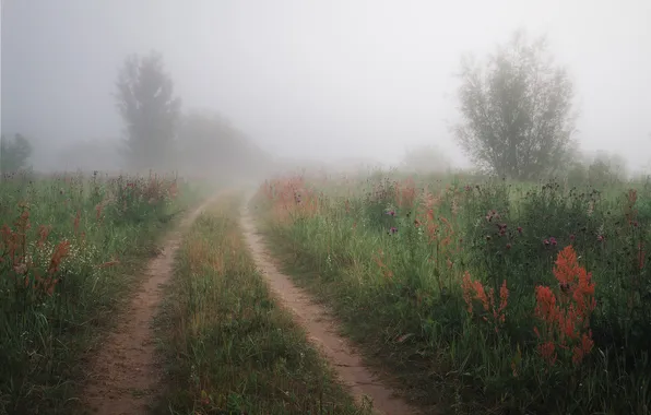 Picture landscape, fog, morning, Evgeny Smolsky