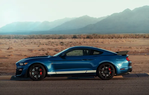 Picture blue, Mustang, Ford, Shelby, GT500, side view, 2019