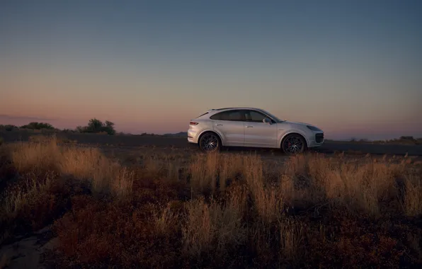 Picture Porsche, Cayenne, side view, Porsche Cayenne Turbo E-Hybrid Coupe