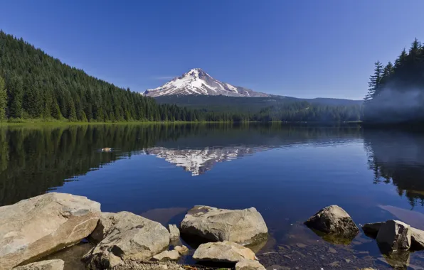 Picture forest, reflection, stones, Oregon, Oregon, Trillium Lake, Mount Hood, lake TRILLIUM