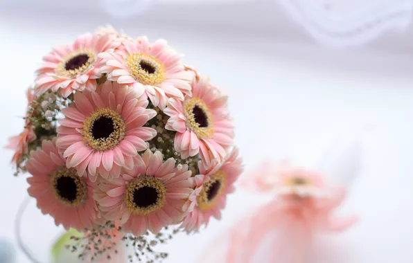 Picture nature, tenderness, beauty, light background, gerbera, nature, beauty, on the table