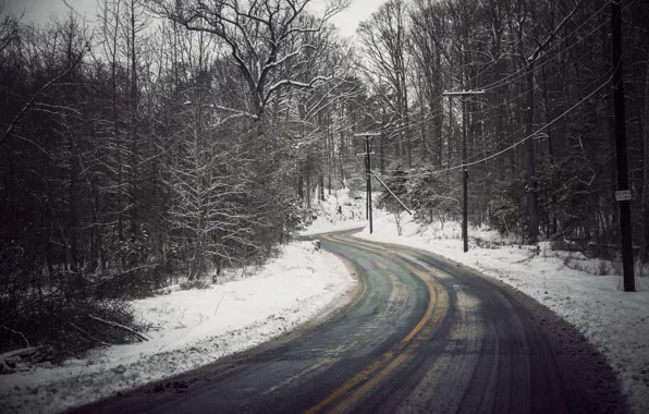 Picture winter, road, snow, trees, power line