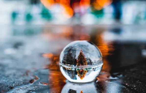 Picture macro, reflection, new year, ball, puddle, tree, bokeh