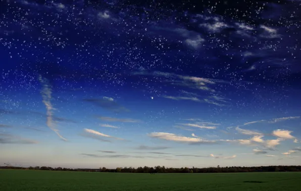 Field, the sky, grass, stars, clouds, the moon, the evening