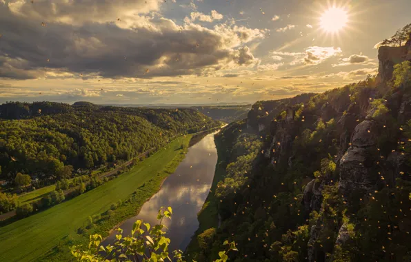 Forest, the sun, mountains, river, bird, shore, pond