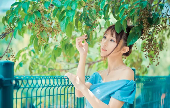 Branches, the fence, hands, Asian