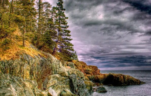 Picture sea, forest, the sky, clouds, nature, stones, rocks, hdr