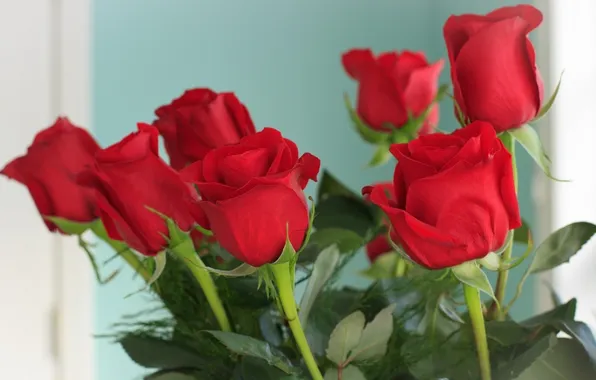 Picture roses, bouquet, buds