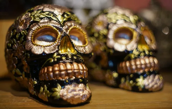 Macro, style, skull, blur, color