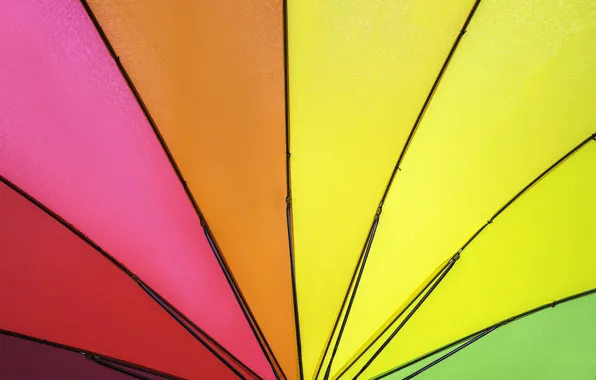 Background, color, rainbow, colors, umbrella, colorful, rainbow, umbrella