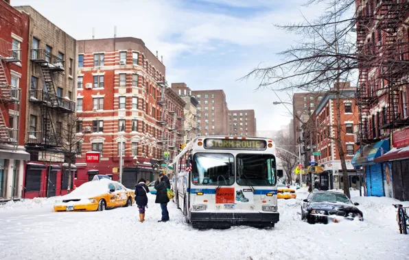 Winter, snow, new York, winter, new york, snow, usa, nyc