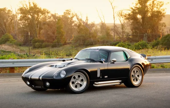 Shelby, Front, Coupe, 2009, Cobra, Road, Daytona, Shelby Cobra Daytona Coupe