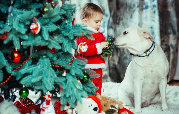 Look, pose, room, toys, child, dog, boy, Christmas