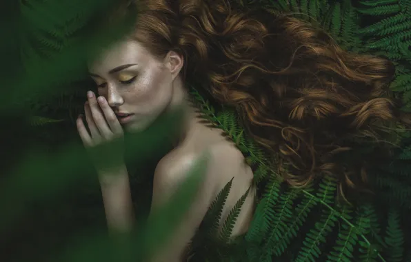 HAIR, GREENS, FACE, VEGETATION, CURLS, FRECKLES, SHOULDER, by Laima1