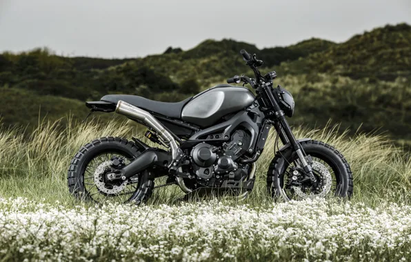 Grass, mountains, tuning, motorcycle, Yamaha, black, wheel, custom