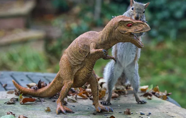 Look, face, nature, background, toy, dinosaur, protein, mouth