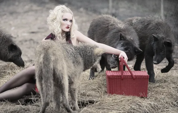 Dogs, look, girl, pose, style, feet, hand, predators