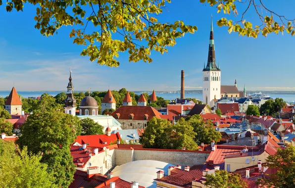 Picture europe, fortress, historic, estonian, famous place, estonia, european