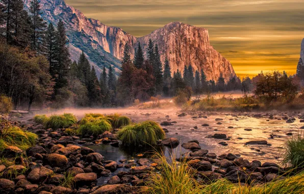 Forest, sunset, mountains, stones, rocks, shore, Yosemite, pond