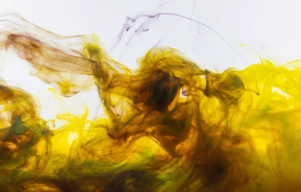 Yellow, green, paint, color, divorce, texture, brown, light background