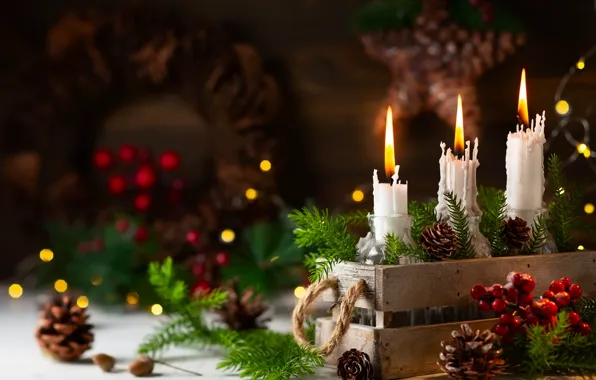 Background, holiday, garland, bumps, composition, Novyy year, Svetlana Kolpakova
