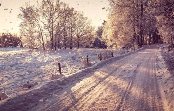 Winter, road, snow, trees, road, trees, winter, snow
