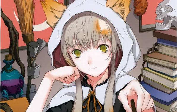 Books, skull, hood, broom, ears, the witch, art, green eyes